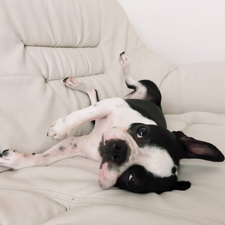 907418ec 60d4 468f ae5c 32f97622795a