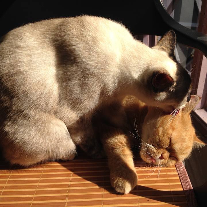 90749417 1a37 4e2b 9fc5 4596d8959f33