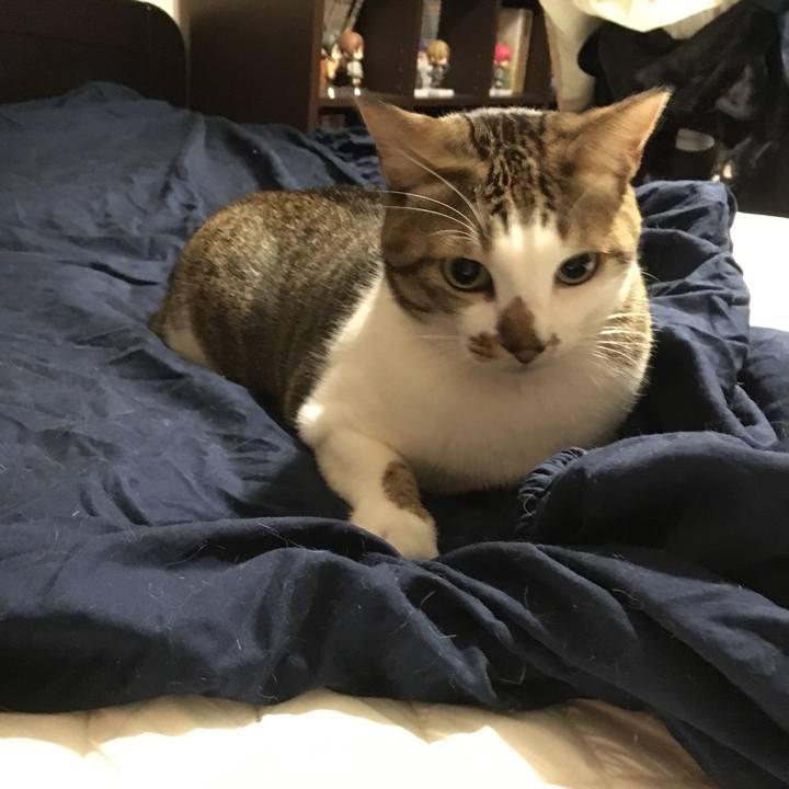 9074f41f 8534 457a a9df 2e1261ff6648