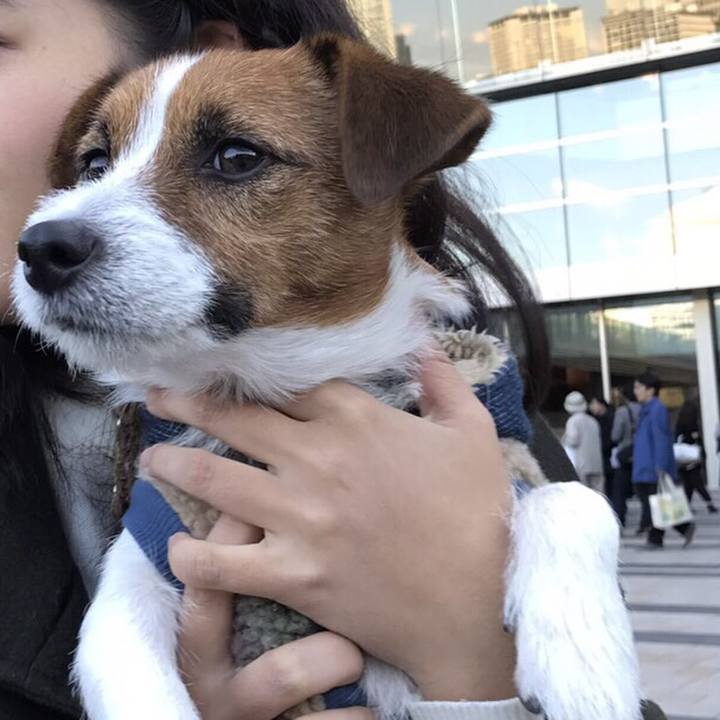 9076c4b6 e330 4642 906e e47e1485c1f3