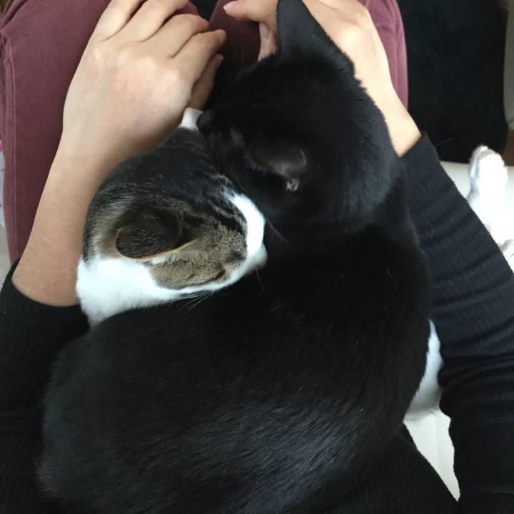 90772fd2 e97d 4ce6 906e 790fef3935c8