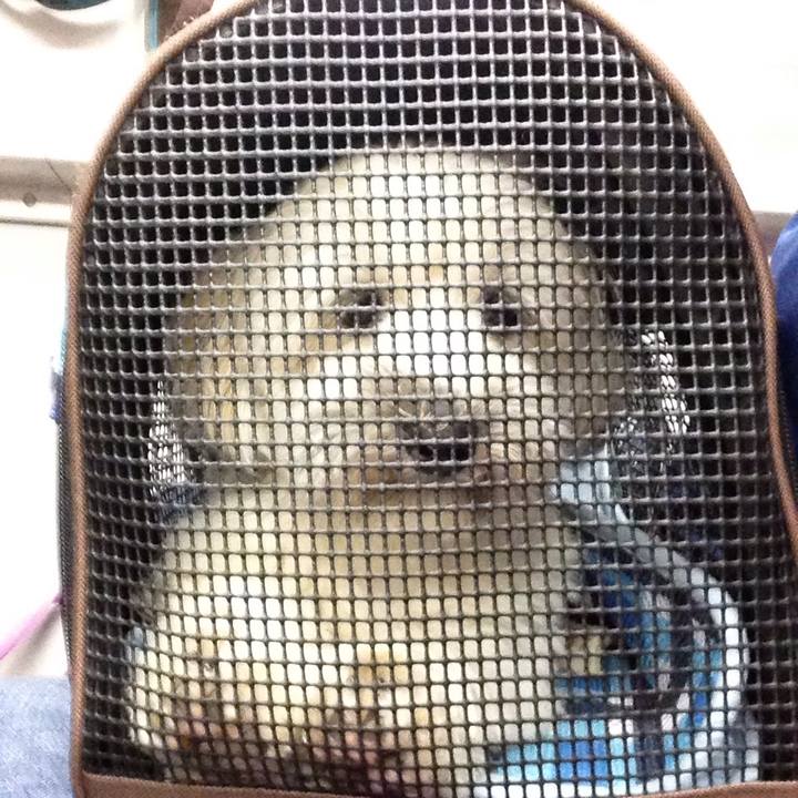 9077457d 28f2 4309 85f8 b6920a75353b