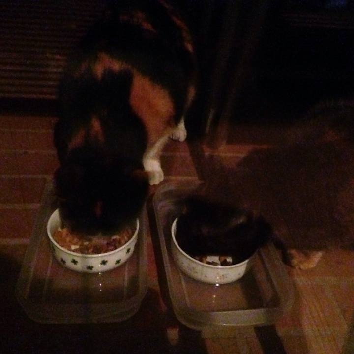 9077a7bb 807e 4ab0 9d3d 63b020f1a751