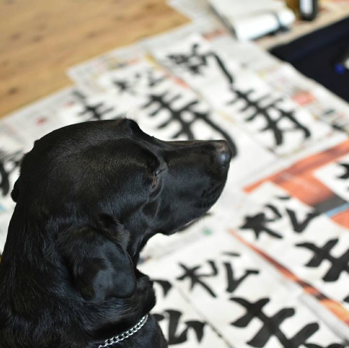 9077cba5 96e6 4a7a 87f7 8fecd6b3a4c6