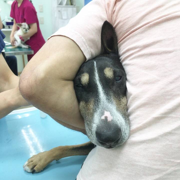 907863b0 5d35 4642 9ff2 f39207093162