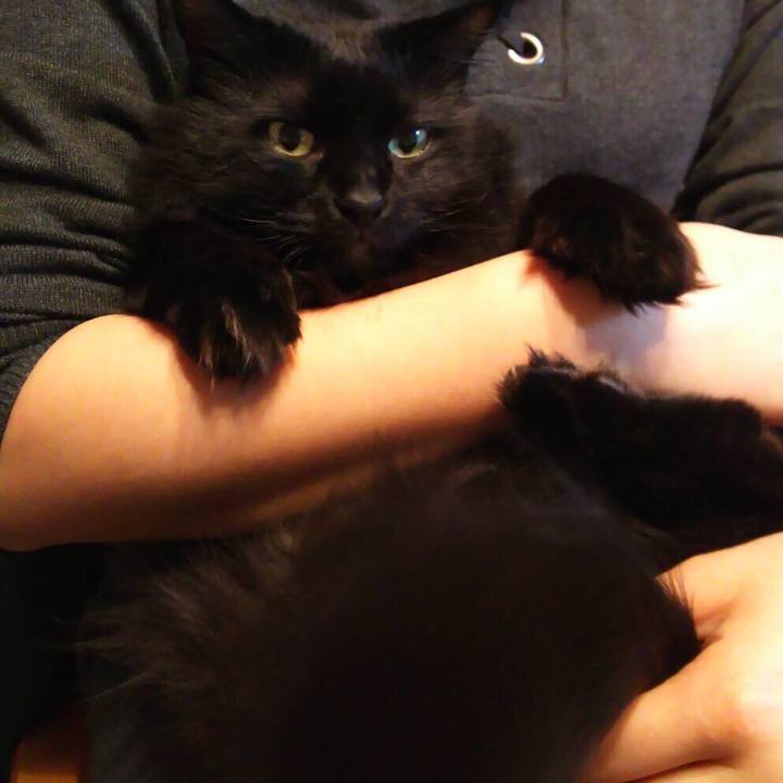 9078d4e4 fd98 4719 805b 971b5883b7ea