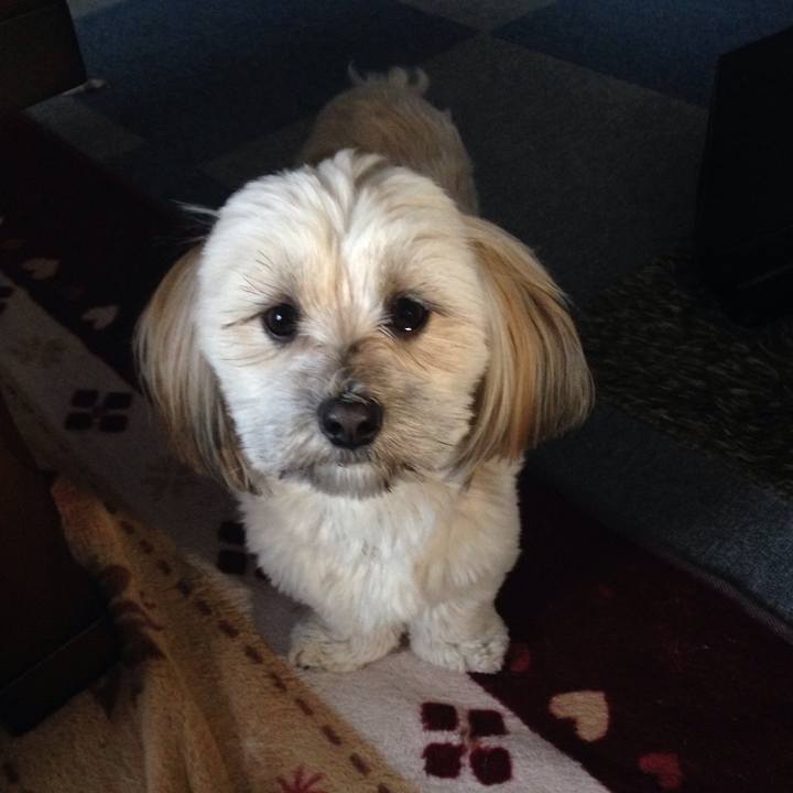 90790c5c 968a 4b30 8127 bb22fdf714ec