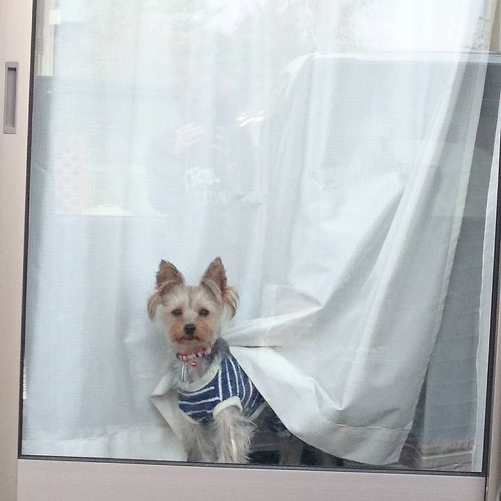 90798a87 f812 4625 8110 8c571c0a91ad