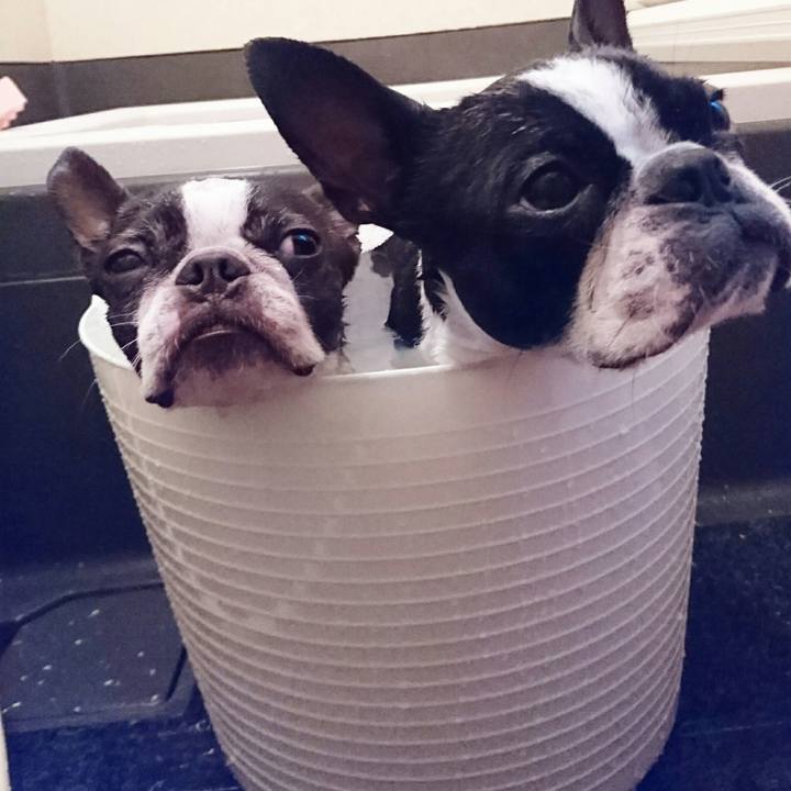 907aa09c 3d3b 4777 abf3 0ffbf7ab2e1a