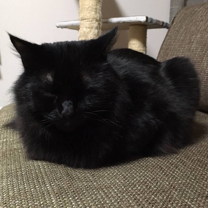 907abc26 3806 472c a514 e0cc5b7112d5