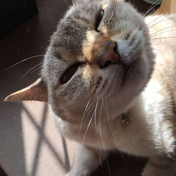 907ae092 045c 40cb 8f0e 181a64e12964