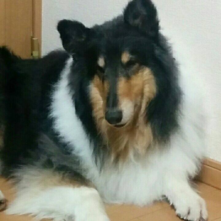 907b0e33 b69b 44e3 b529 745017d8e366