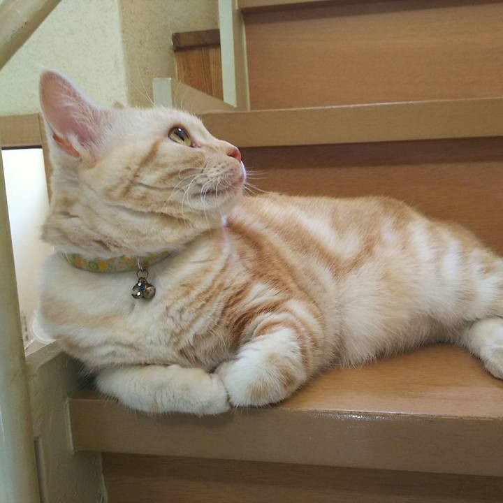 907bd464 3c43 4abd 99f3 667447b50603