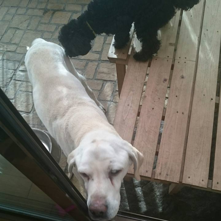 907bf8d3 a17b 4c3a b426 a659a7c43eff