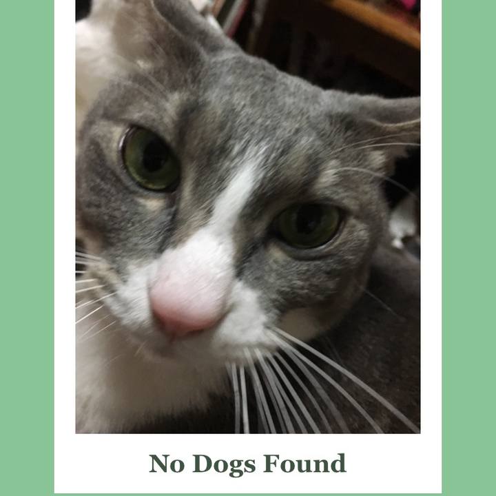 907c2a7b 3ea0 4aed b2c7 42b11c7511a6