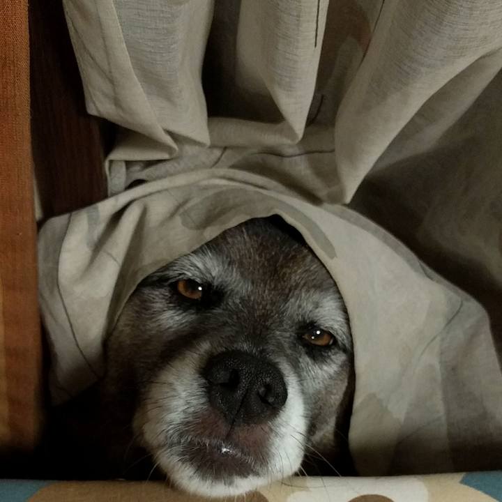 907c5d49 56c0 44a2 8bfb 1595c84afc9e