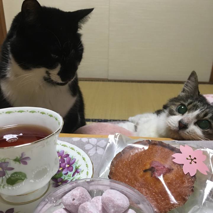 907cfac8 5ae9 4d26 b446 cd0d1793b966