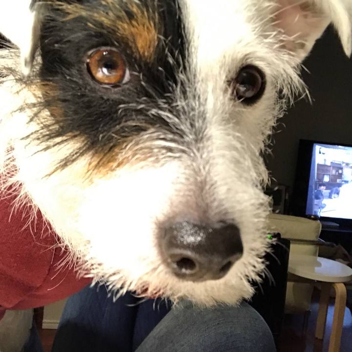 907d6a8d 45b2 4360 83e0 3edc599aa861