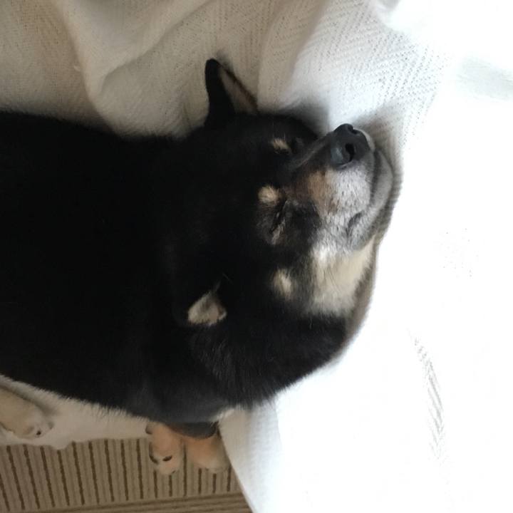 907dbd3c a86e 422a 9721 cfaca3c05f31