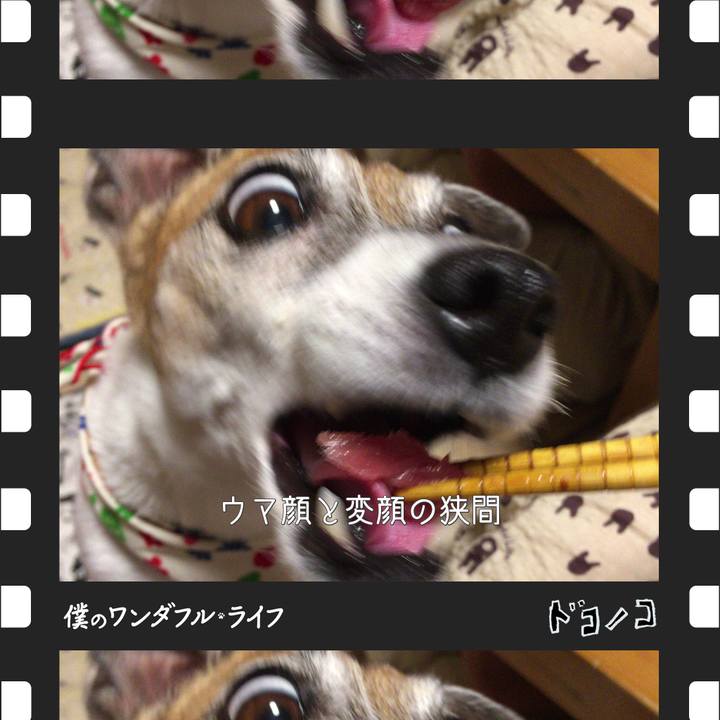 907ef9f1 3935 4be5 8ecd 270862060677