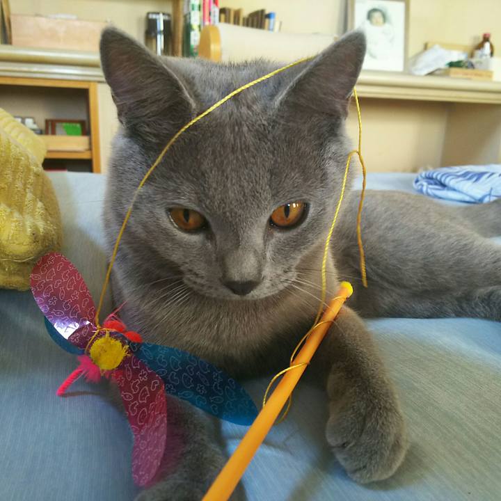 907f3c3a 41af 408d 9c35 c5ae2fefc86e