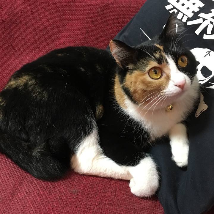 9080aa75 105e 4634 af69 3989007125fa