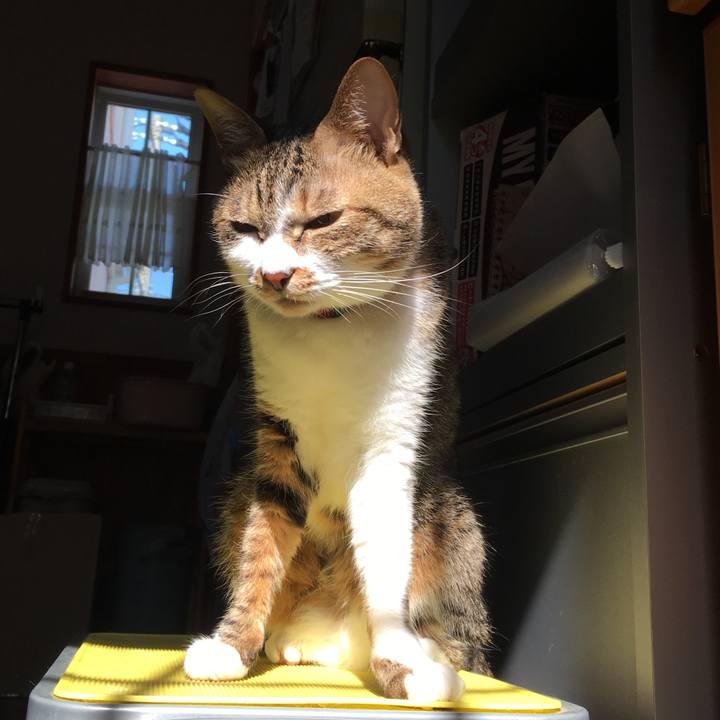 9080d902 74d3 4cac a911 62dae727997f