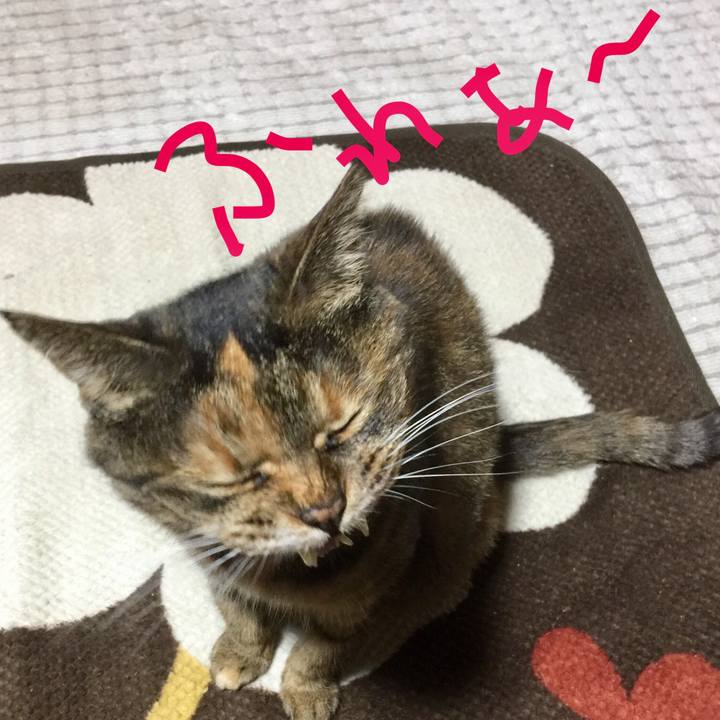 908110fe b85e 486f b867 4fa71daaba8b