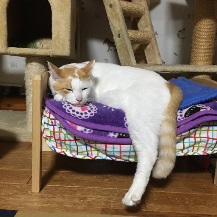 90815483 90f8 4e34 adda 83037d9aa599