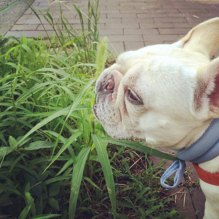 9081d30f 648a 4079 ac14 96beb18bc13c