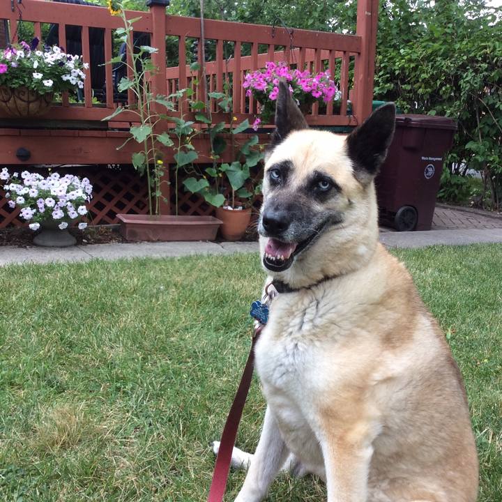 90824426 7f42 4c95 b2d9 c3161845422e