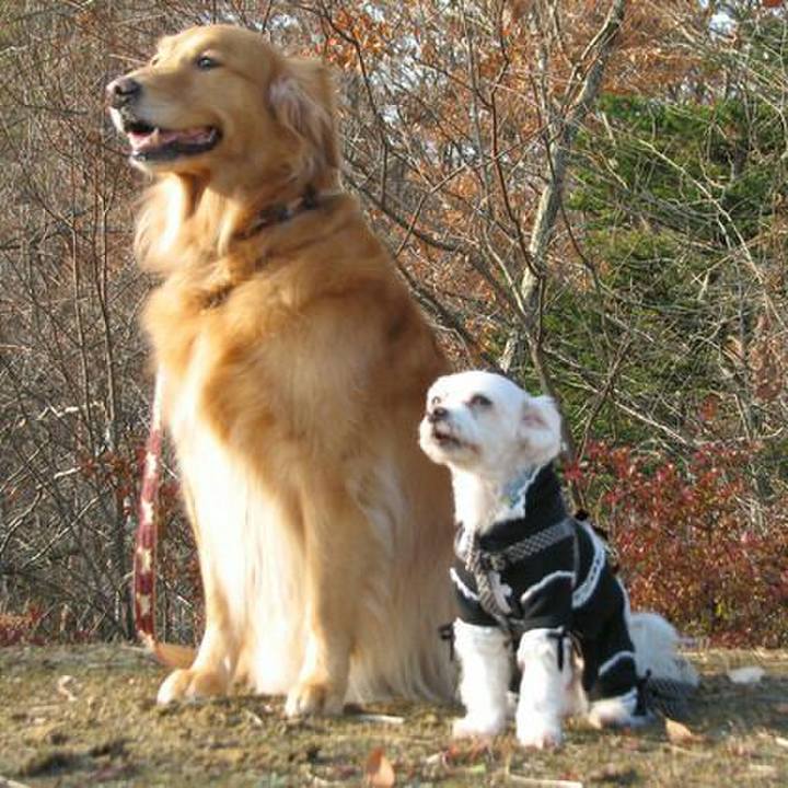 908279ab e7ab 430f ba07 ff7c98300f0f