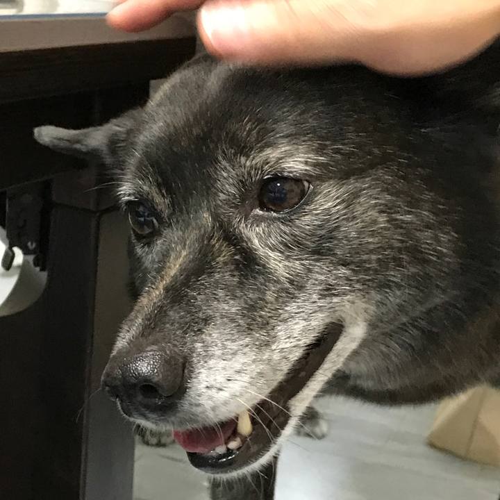 9082e852 d862 4b66 ba35 4fba9a6d084d