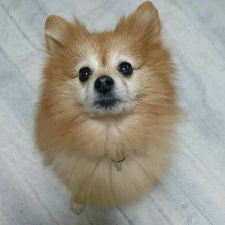 9083927d 6a92 43bb b249 90e3b2b97be8