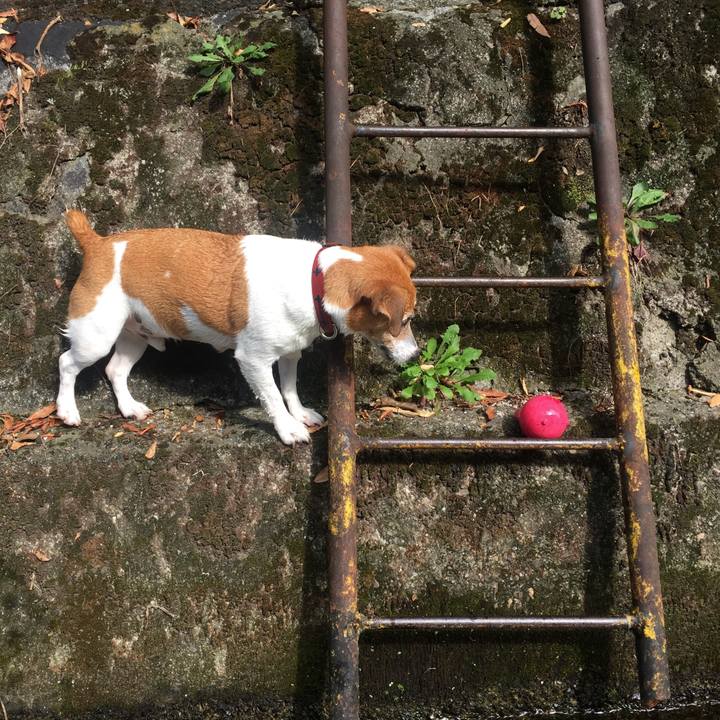 90842efe 830c 4ef9 b3c0 5635b7190c24