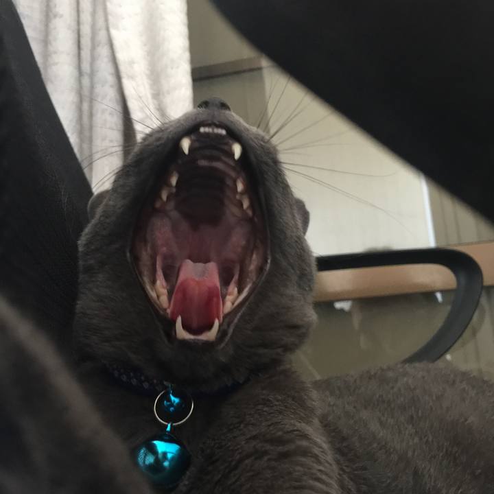 9084f5f4 d1ed 4b1b bf93 bc6dbe4add44