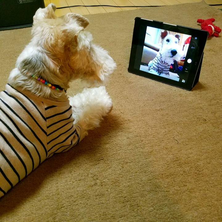 90851358 552a 41e2 bb17 9bd929b211c5