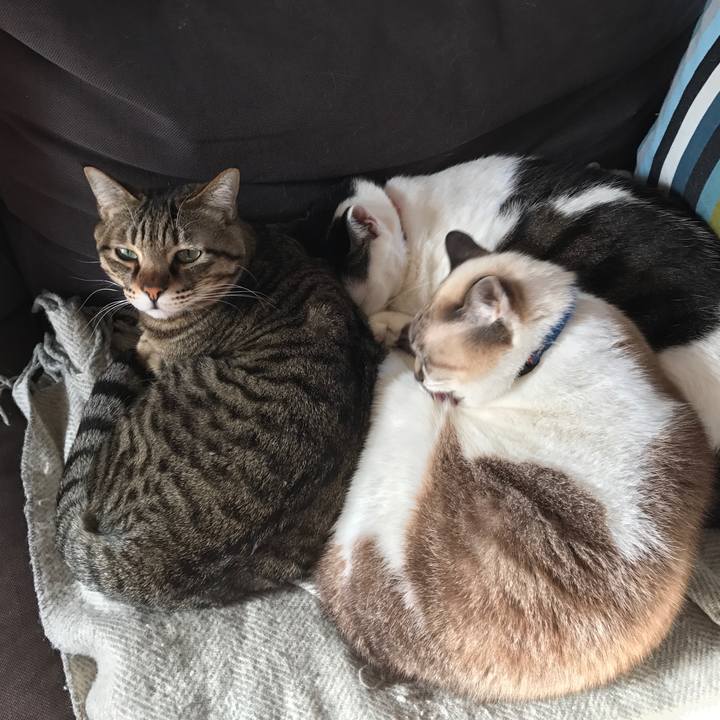 9085ab93 9606 47ec 81fd 1dd06db7efd3