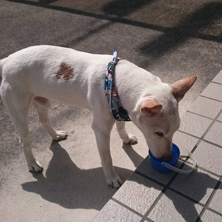 908731b4 2c23 4e0c 868c e2cf488f41d5