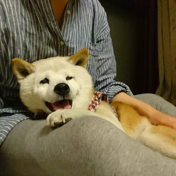 908741f1 9a23 4e4a bc2d 2cb1d20b0a80