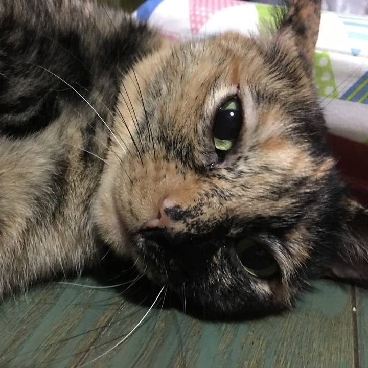 9087b1fc 2735 4155 8e94 1608908501eb