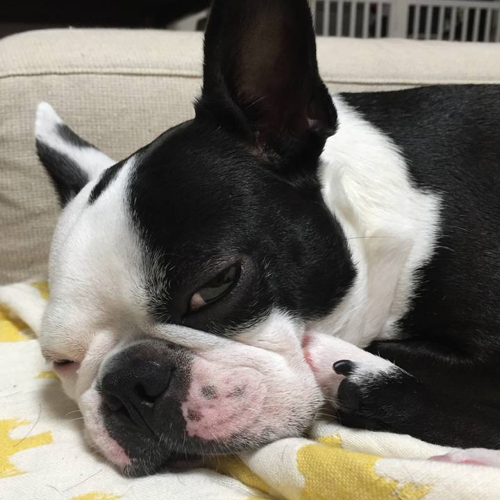 9087b9b4 dc10 4a3f bd54 484c569f76ee