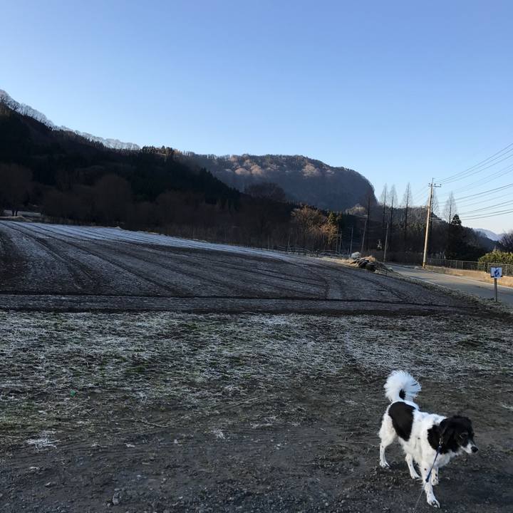 9087bd79 7ef9 4015 a299 a445bf085e79