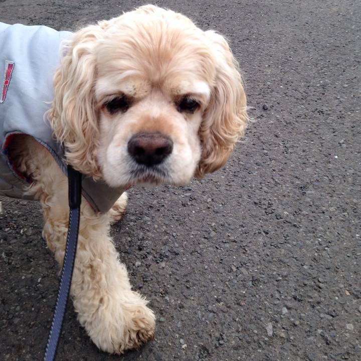 9087e22a 6394 44e2 9a32 137b5a643e47