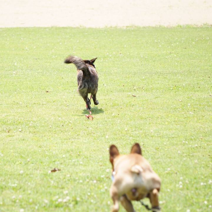 908830f7 1d37 4b20 8e6f 0aadfe9bce62