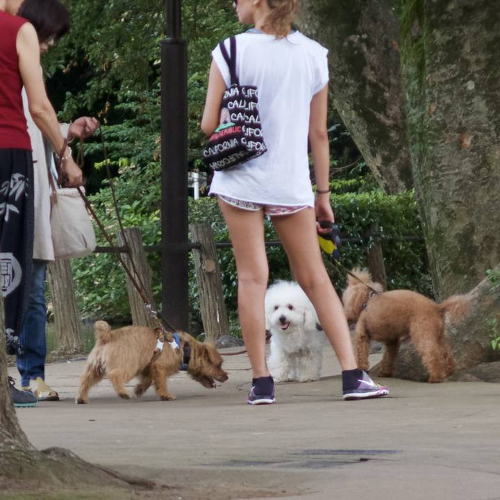 90892c01 f04c 4a05 848b 4ff436dd43e6