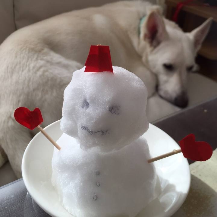 90892f57 0edc 4210 abf2 a83fe824b3ca