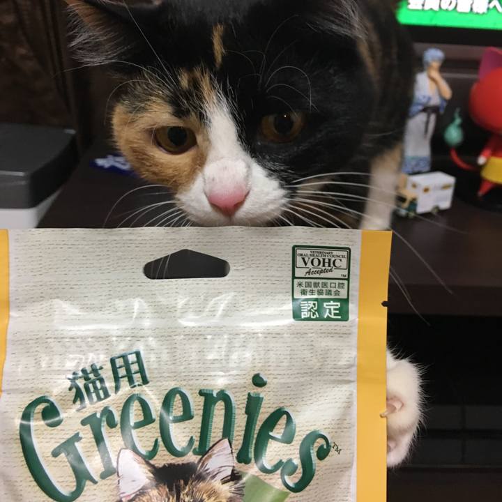 9089550f db2d 46dd 9ad7 e36e4b6710f9