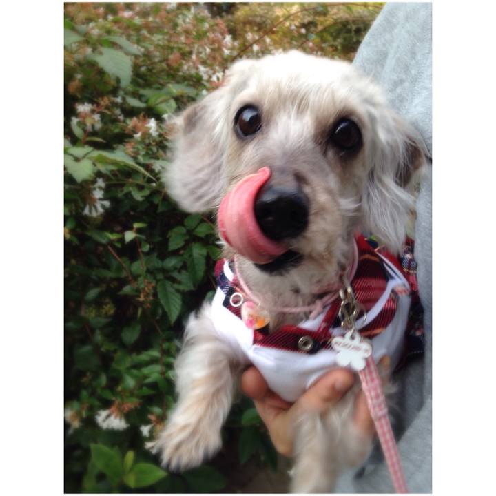 9089d920 6ccf 4783 af4e d5de2e42fd96