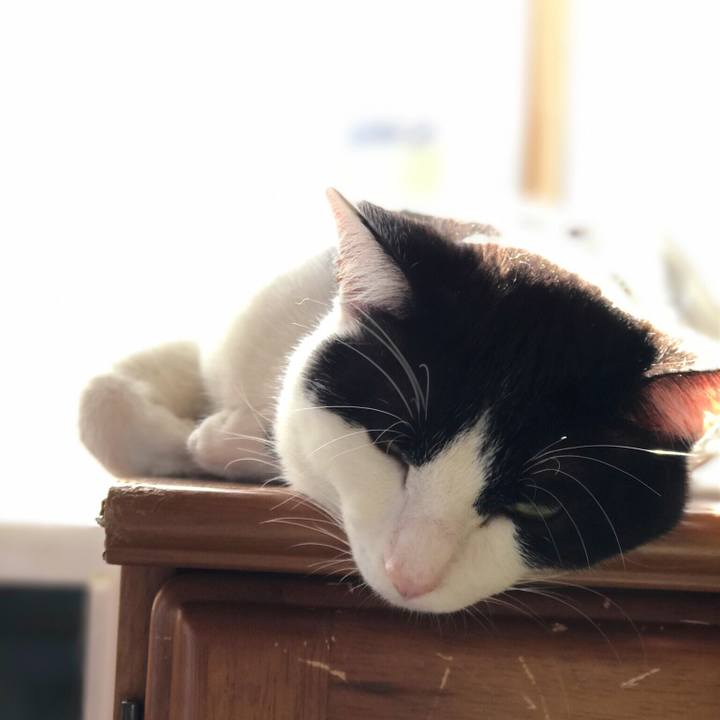 908a289c 1046 48c9 9b1c 3986e146061c